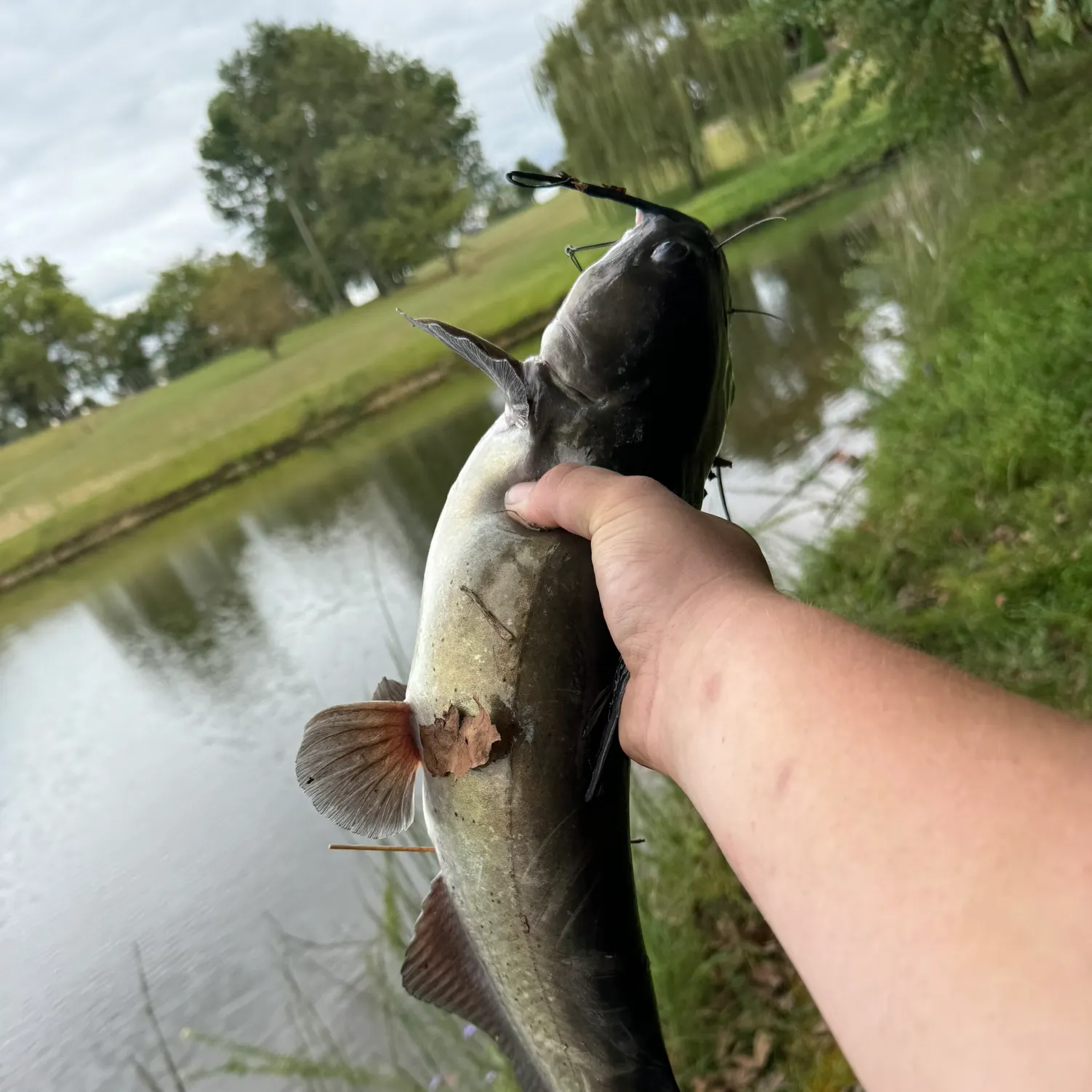 catch