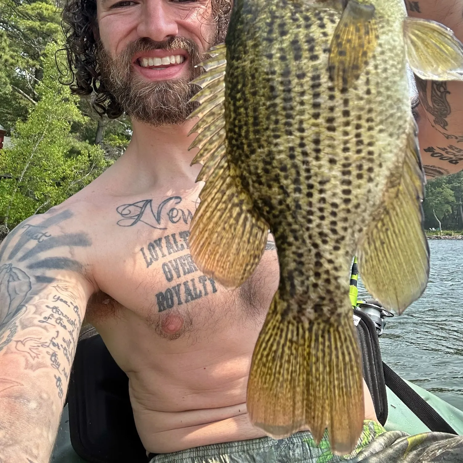 recently logged catches
