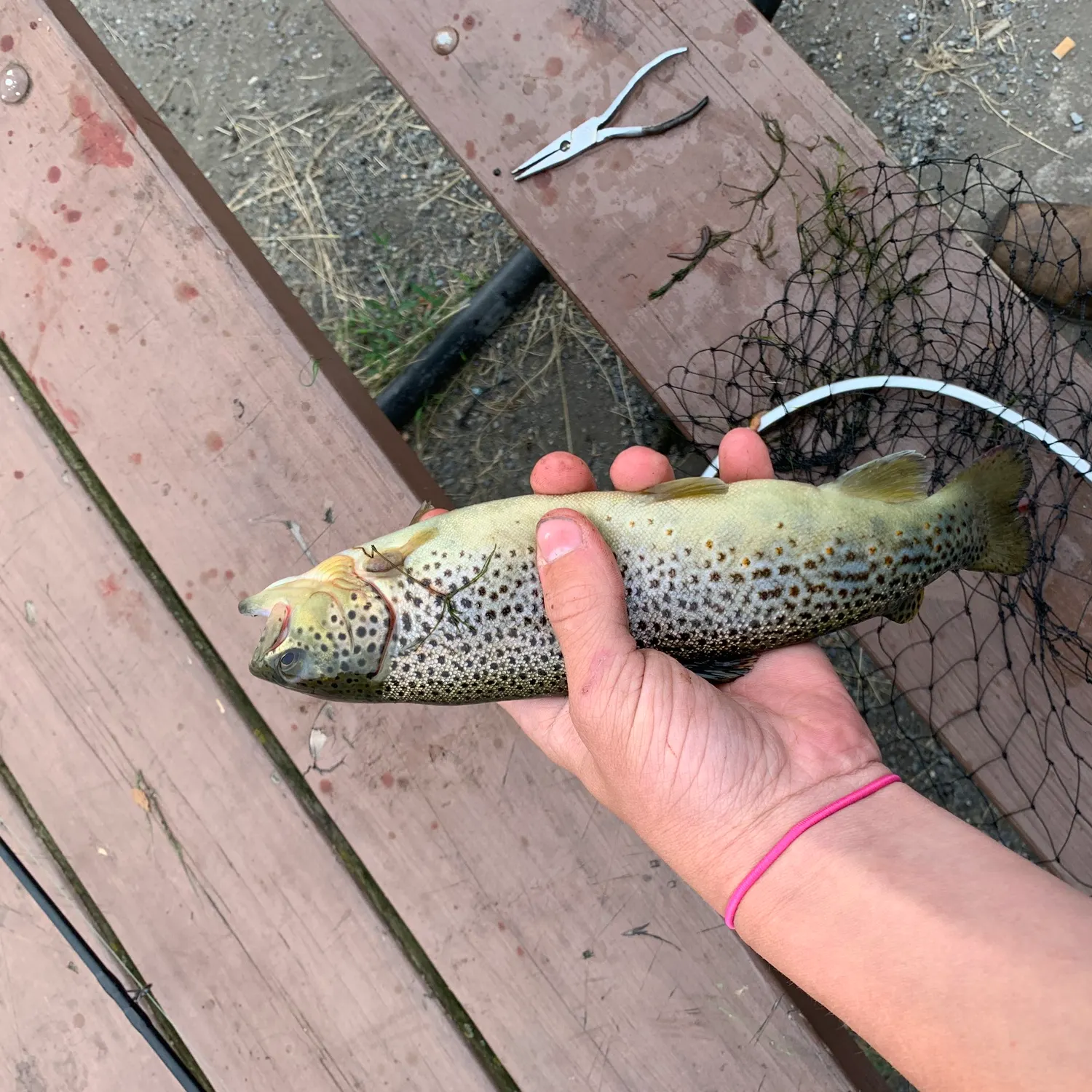 catch