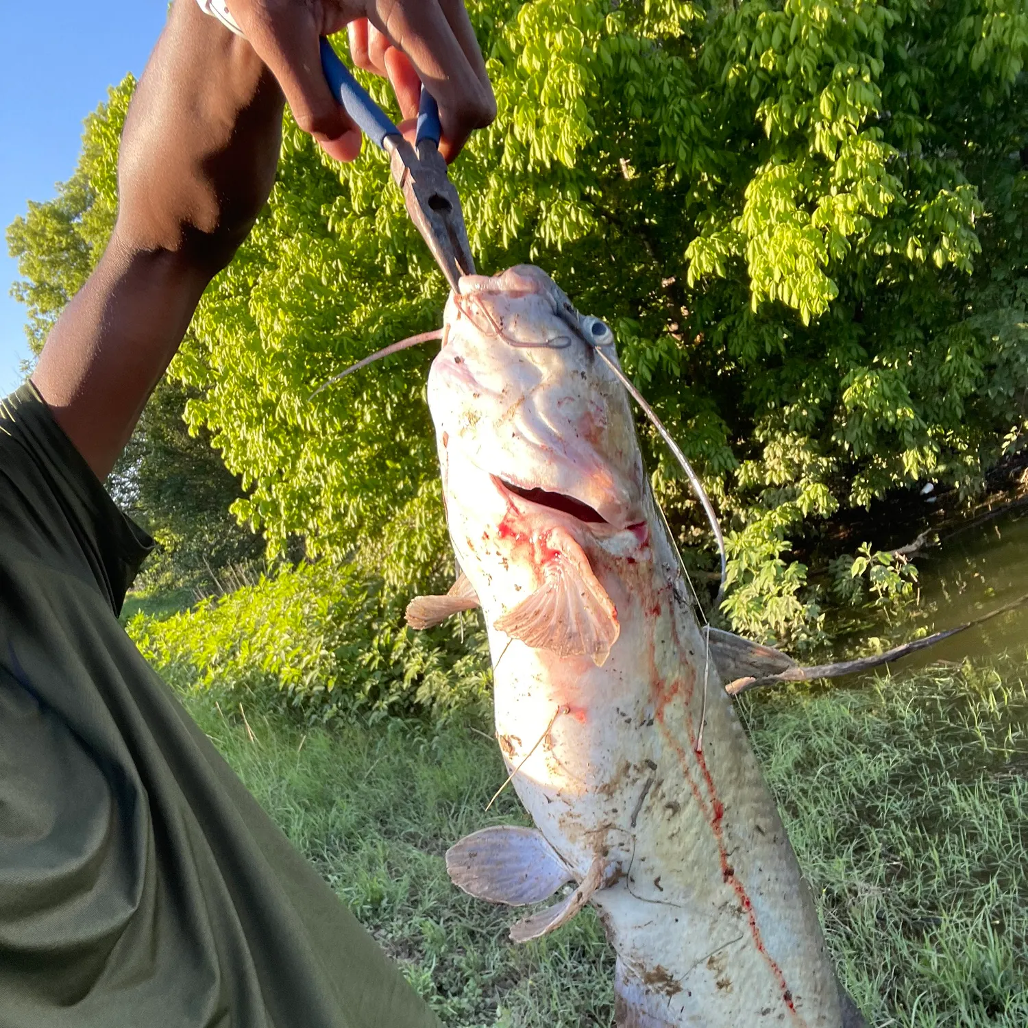 catch