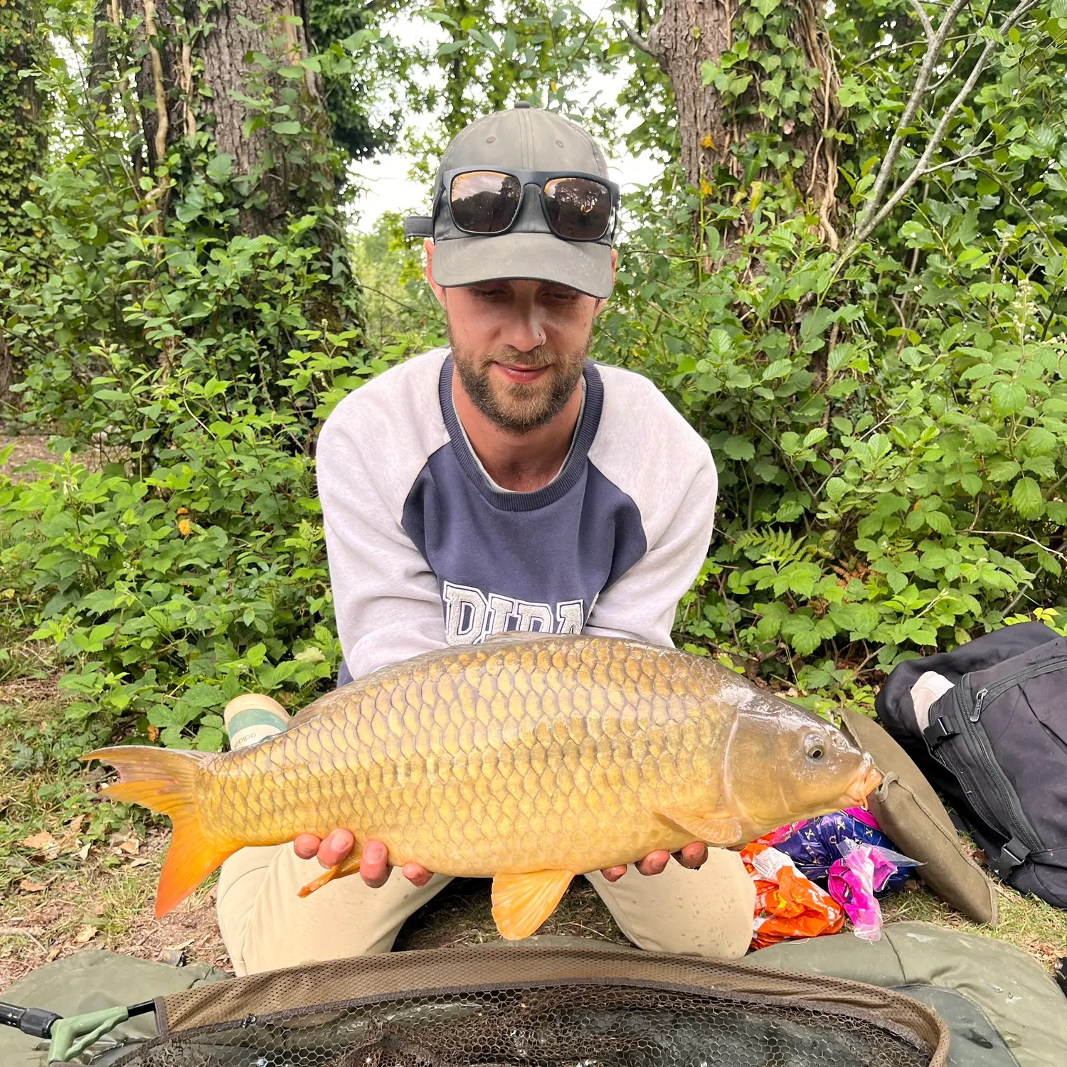 most liked catch image