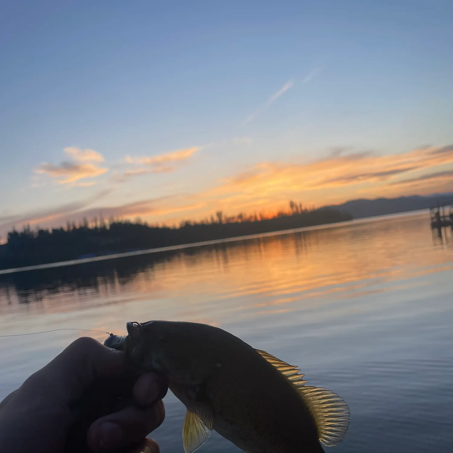most liked catch image