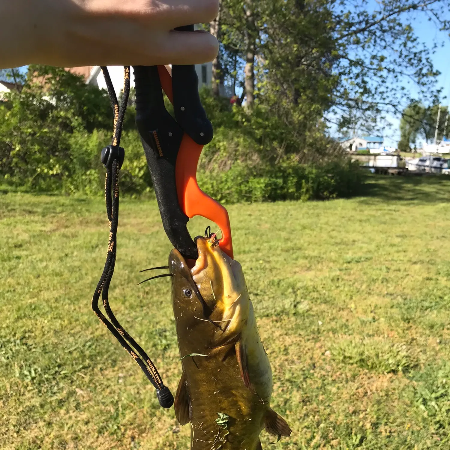 catch