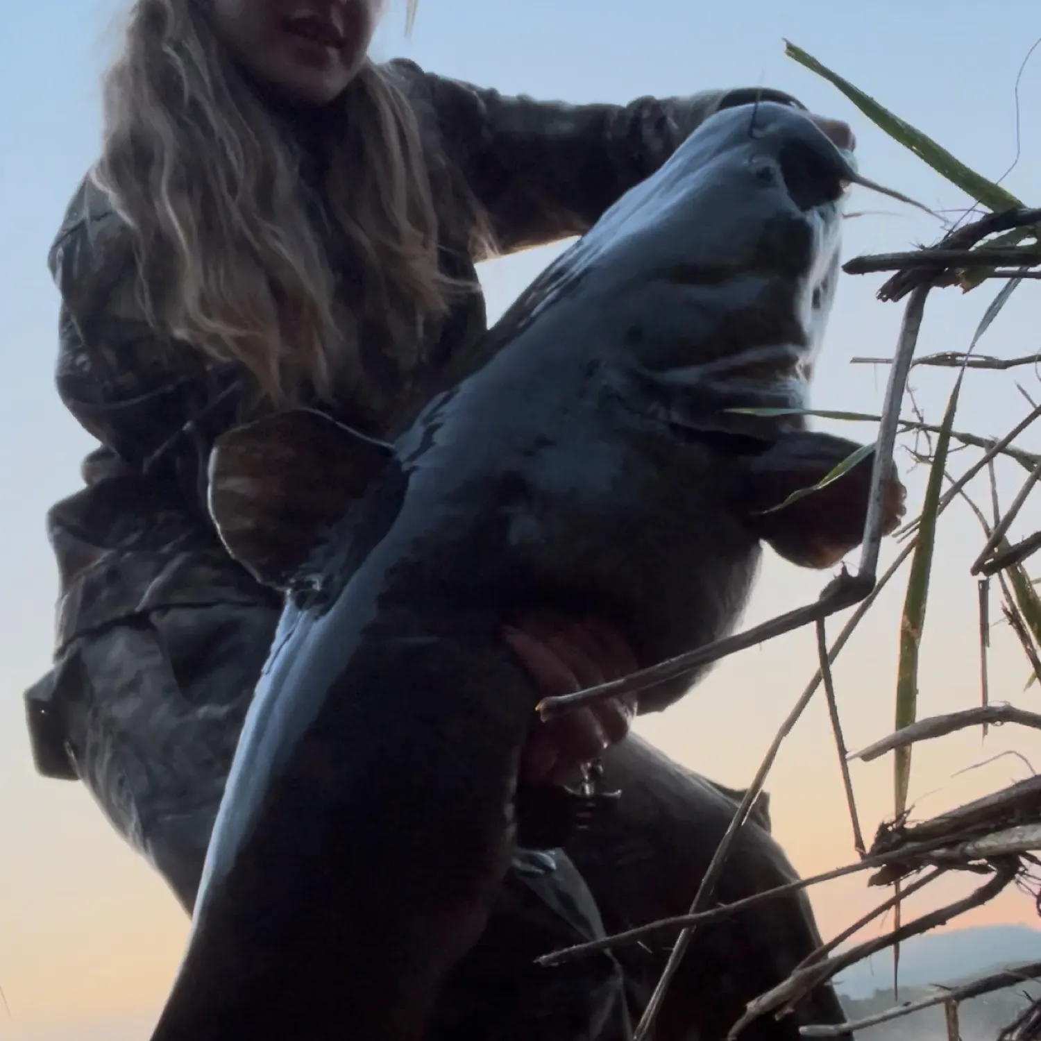 most liked catch image