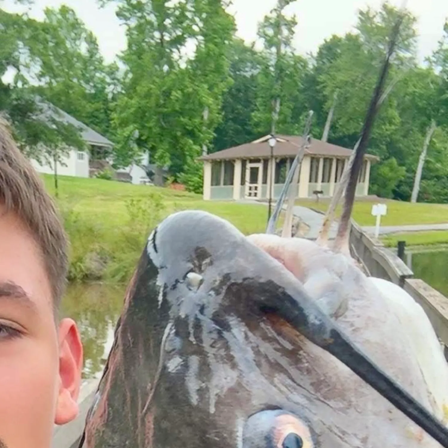 most liked catch image