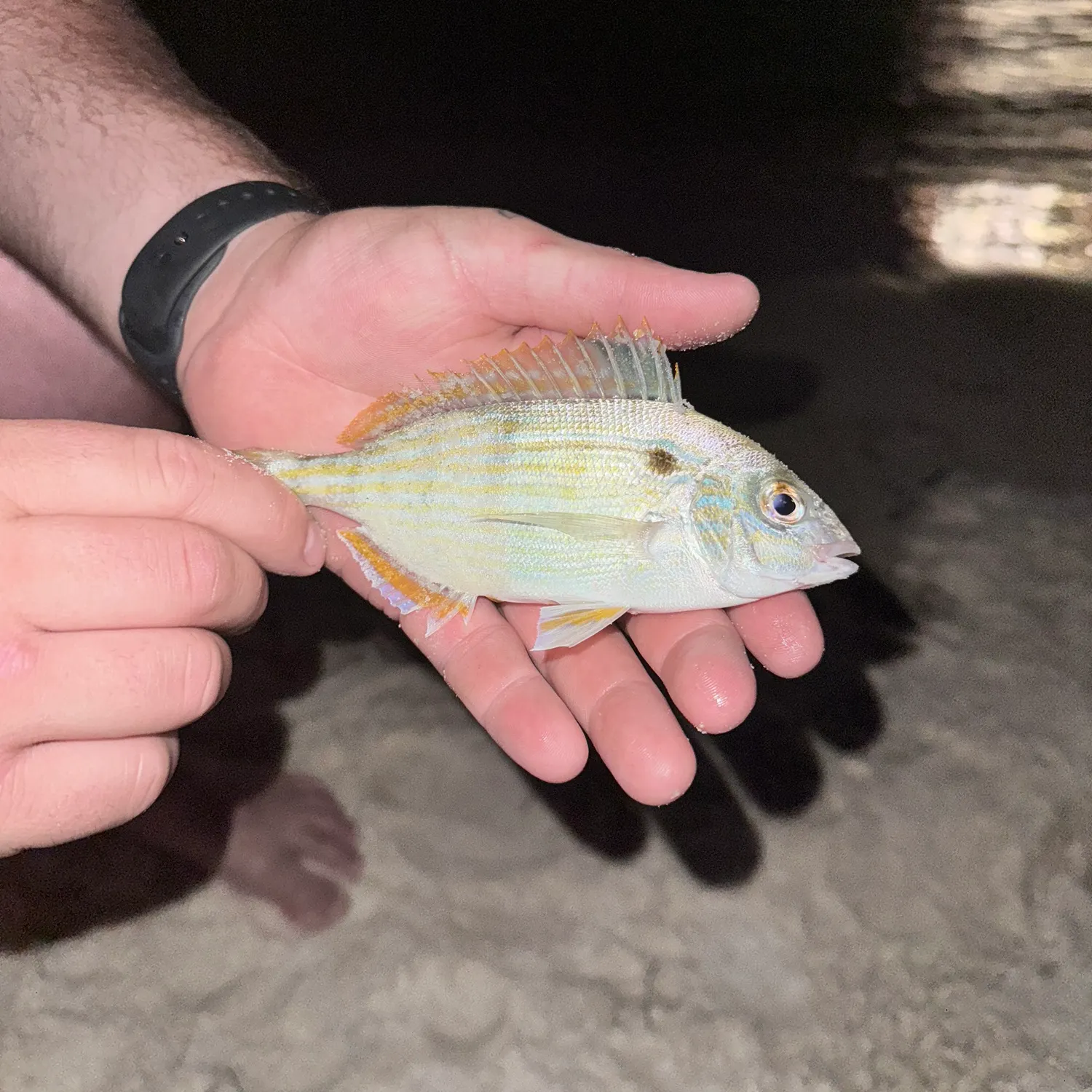catch