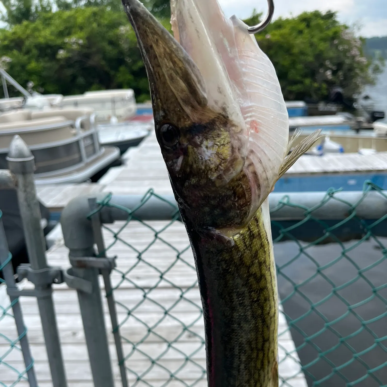 catch
