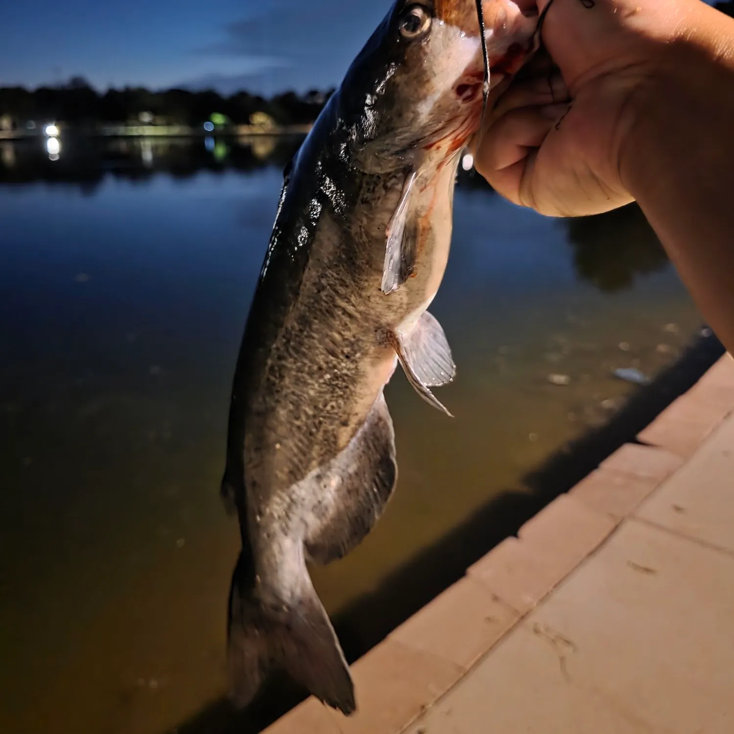 catch