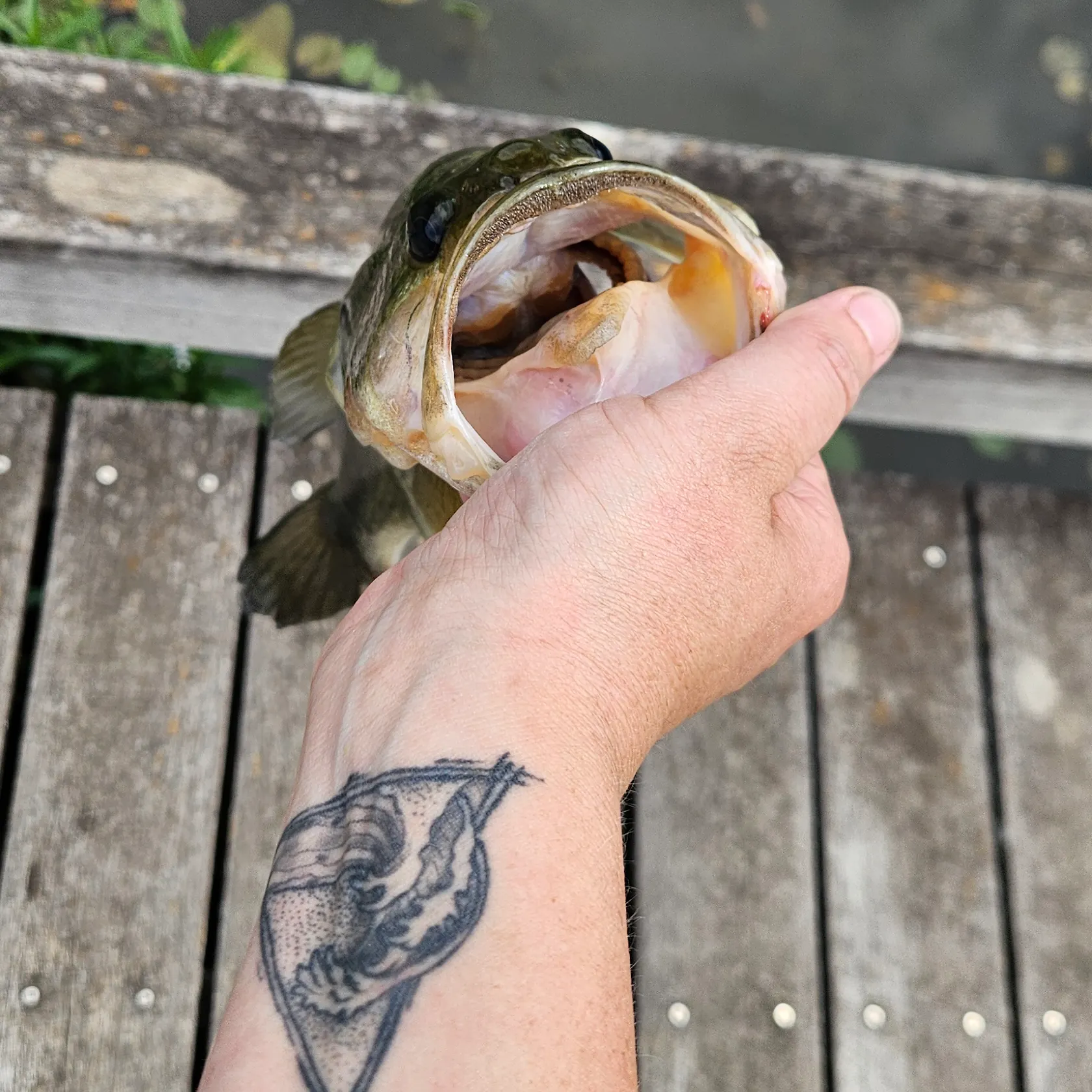 catch