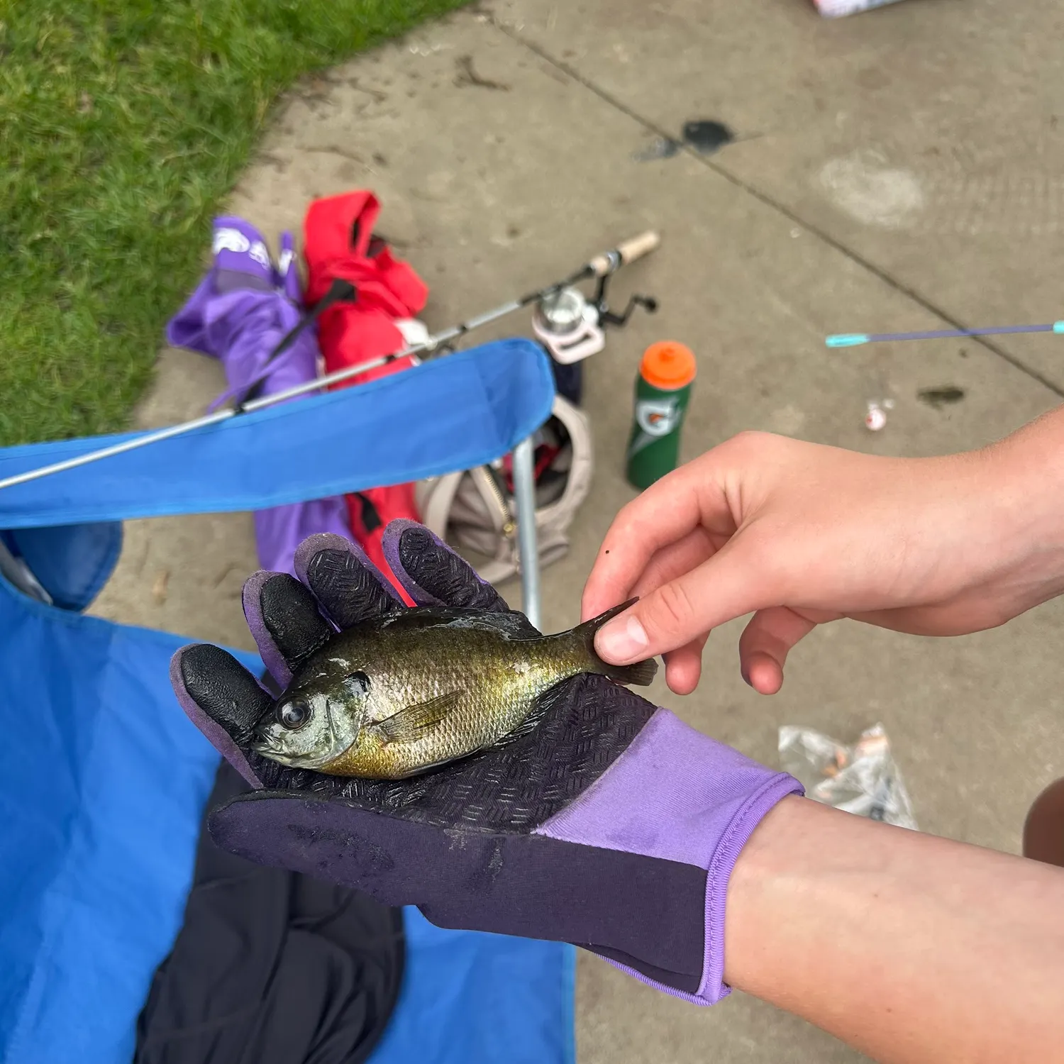 catch