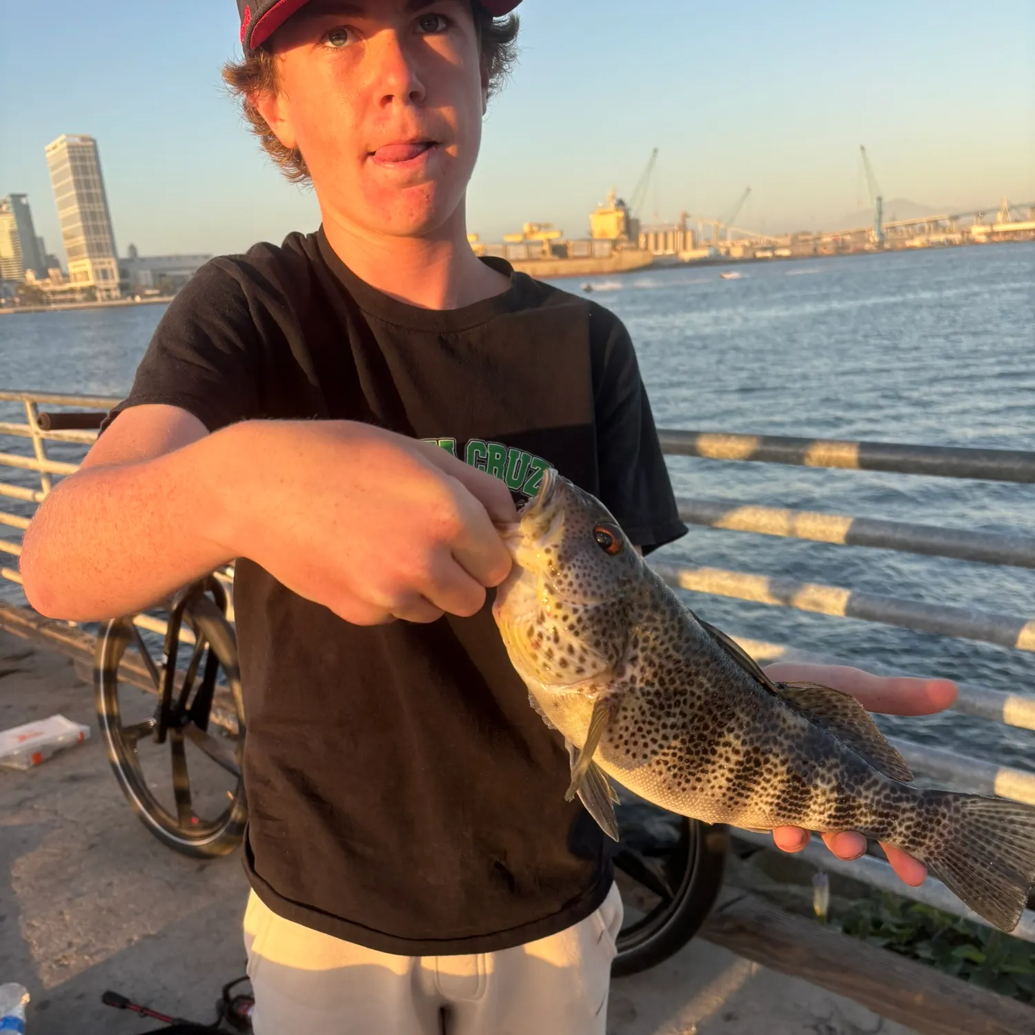 catch