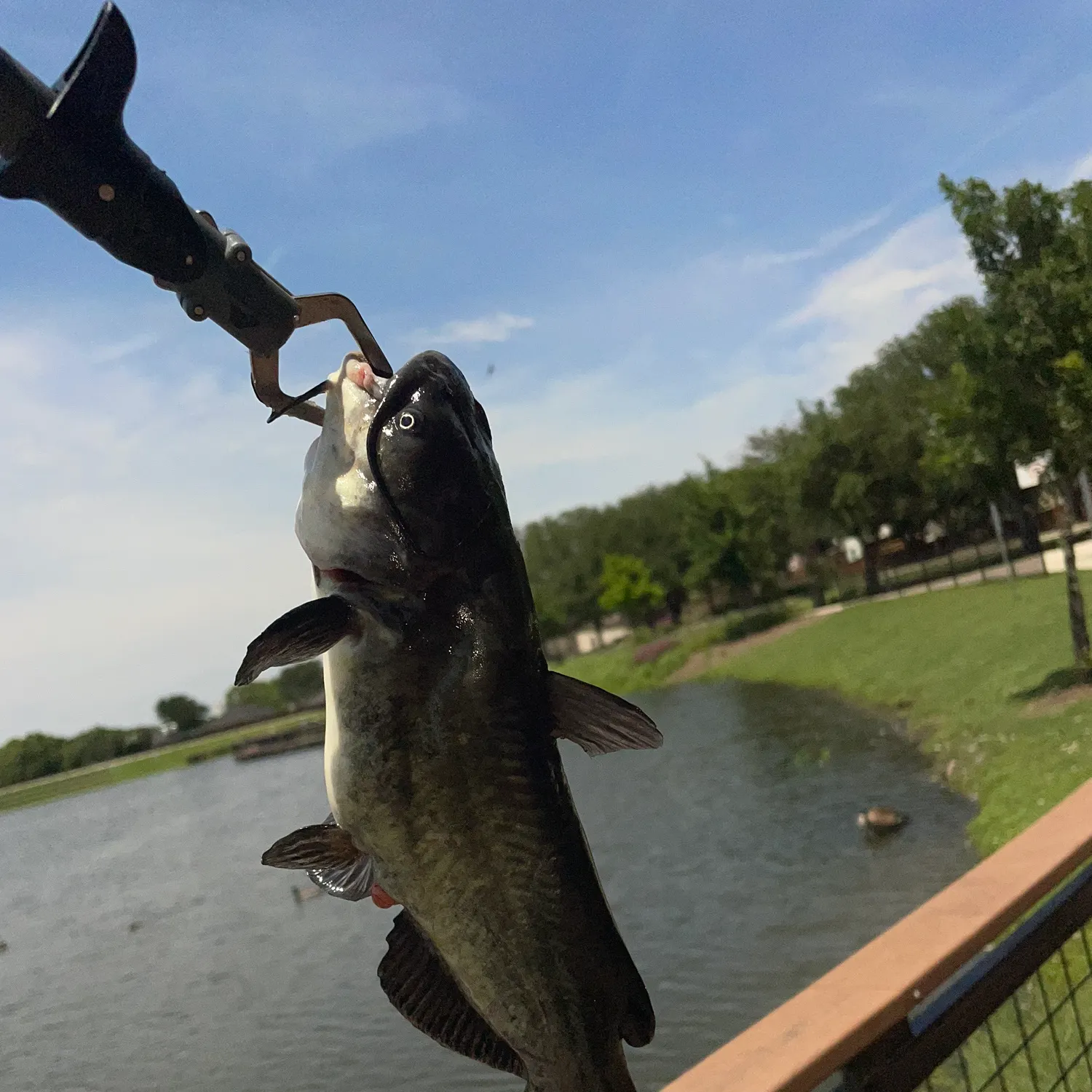 catch