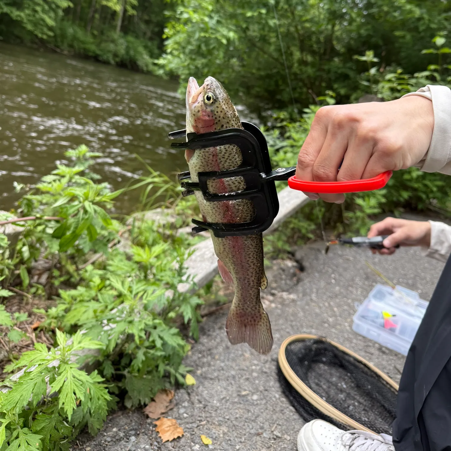 catch
