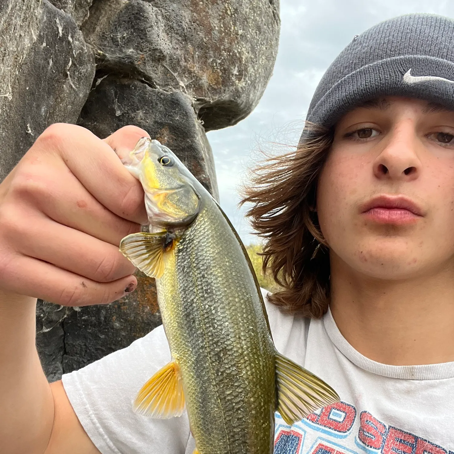 most liked catch image